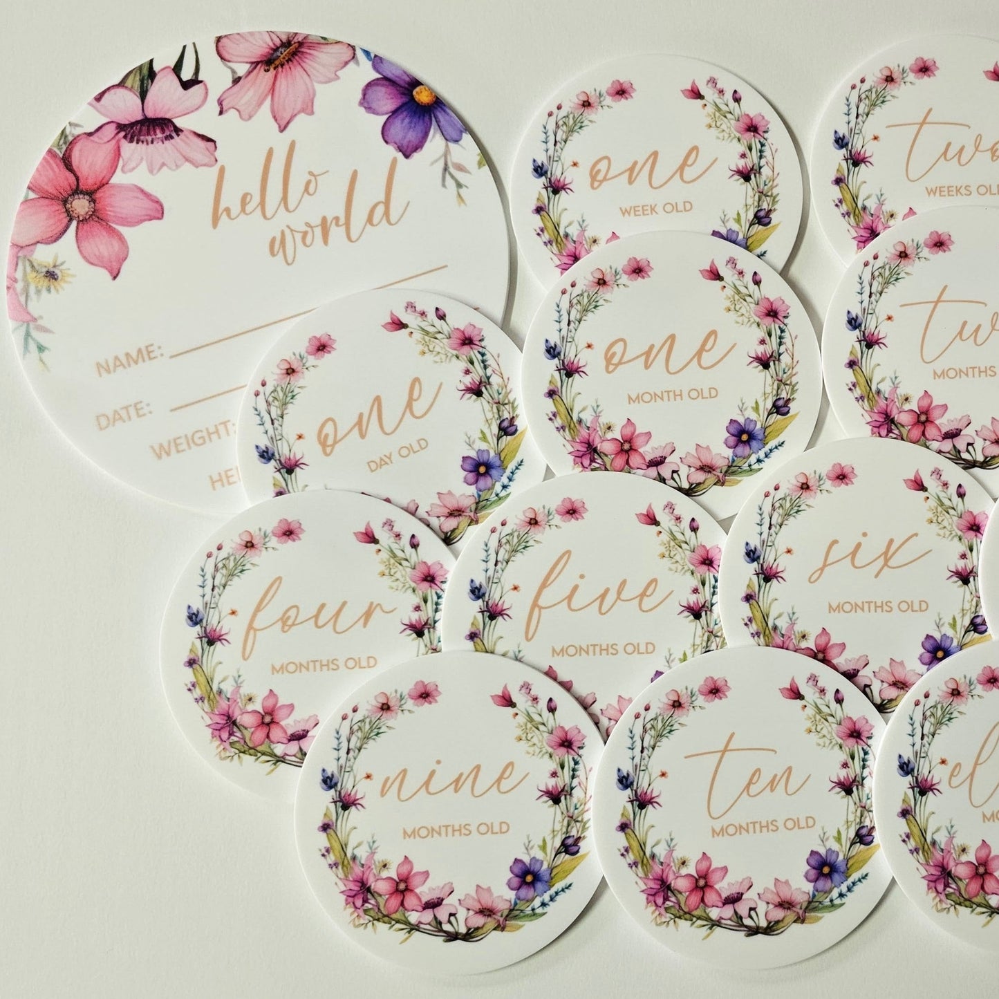 Round baby milestone plaques with dried floral illustrations, including “hello world” birth card and month markers in neutral tones.