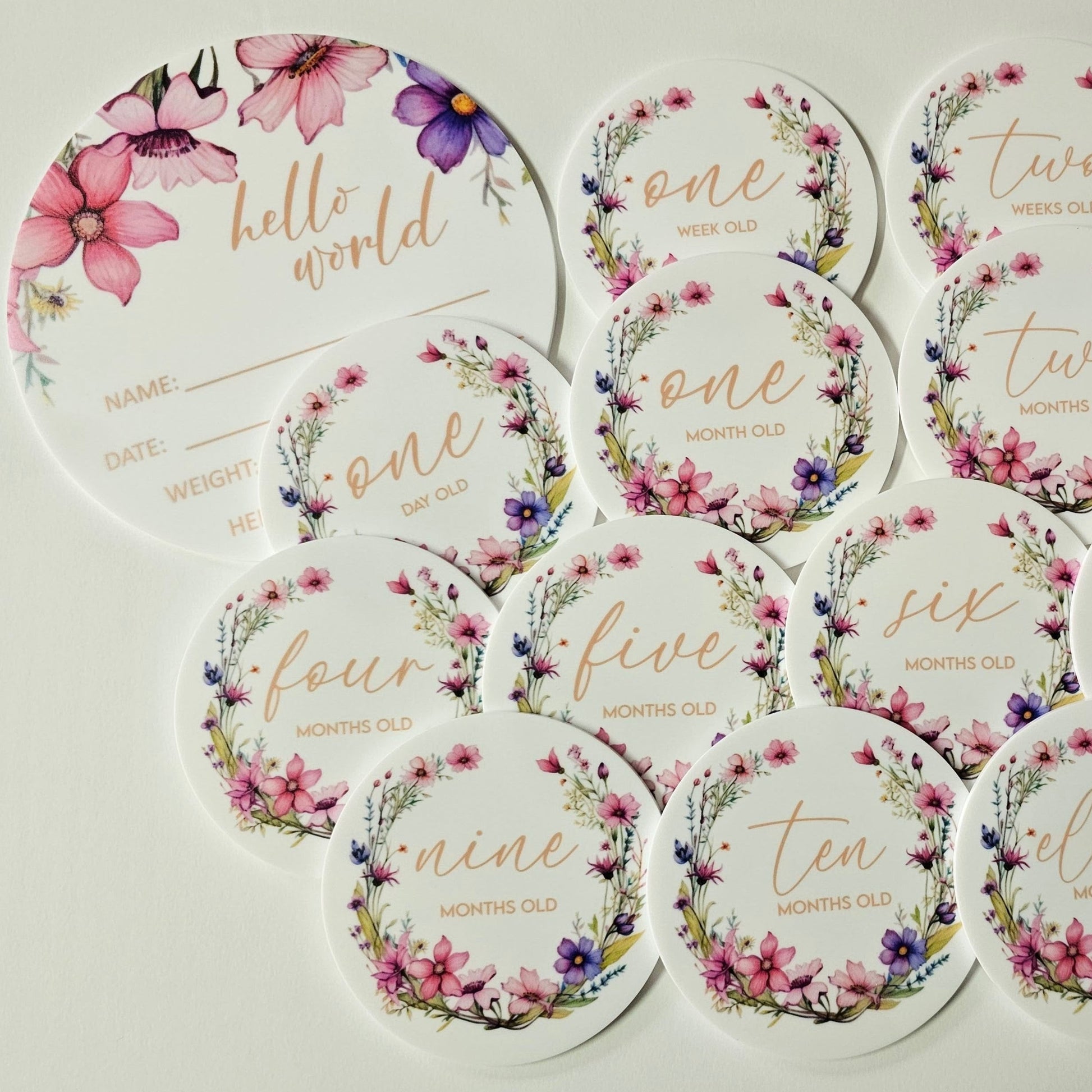 Round baby milestone plaques with dried floral illustrations, including “hello world” birth card and month markers in neutral tones.
