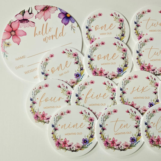 Round baby milestone plaques with dried floral illustrations, including “hello world” birth card and month markers in neutral tones.