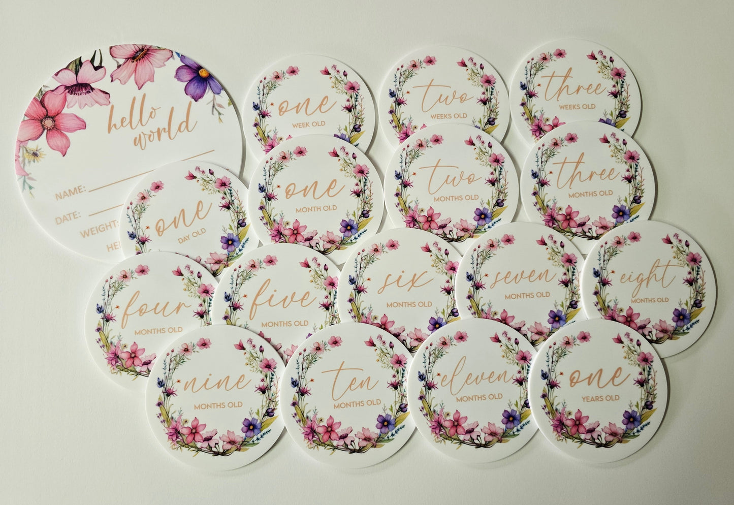 Round baby milestone plaques with dried floral illustrations, including “hello world” birth card and month markers in neutral tones.