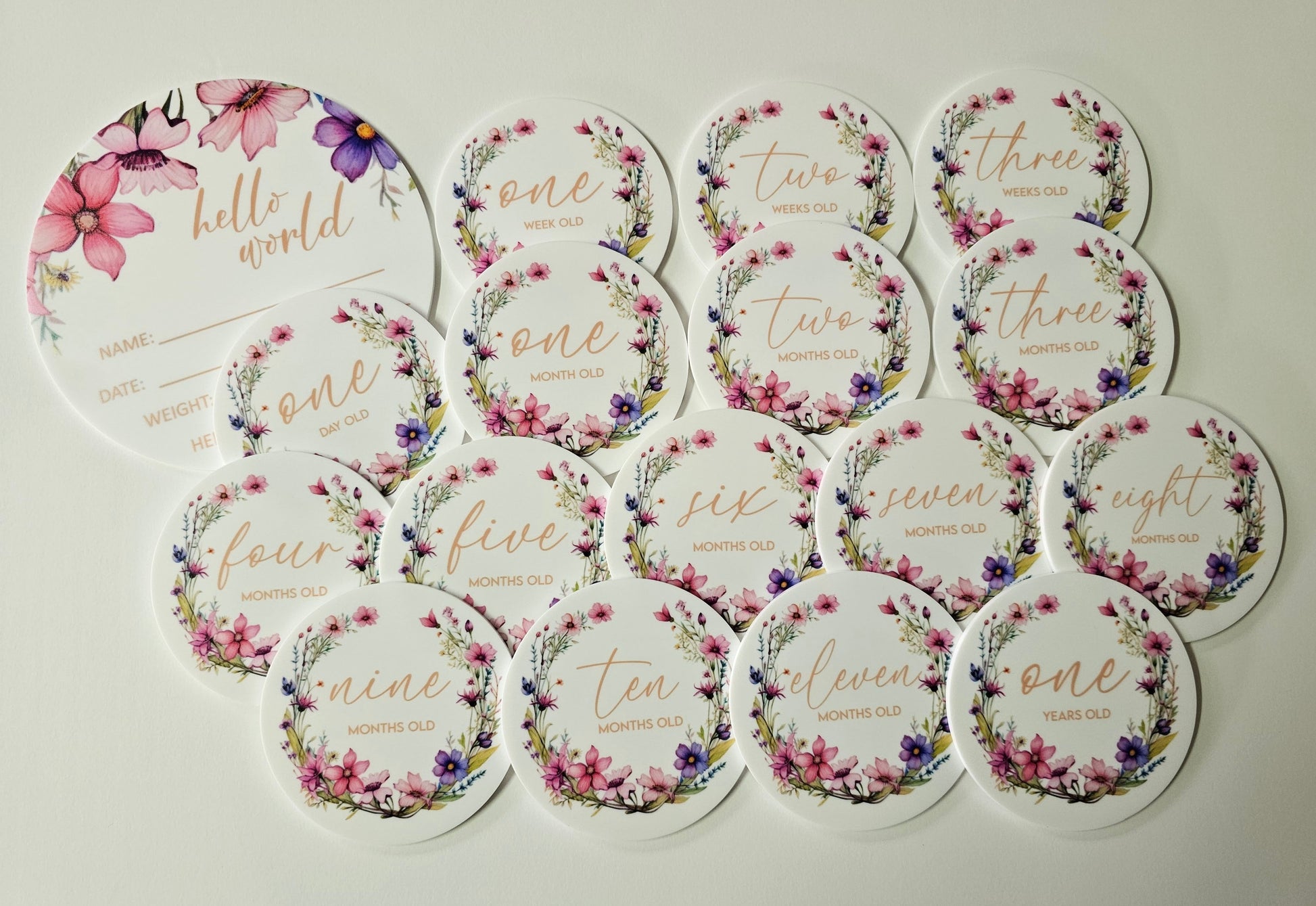 Round baby milestone plaques with dried floral illustrations, including “hello world” birth card and month markers in neutral tones.